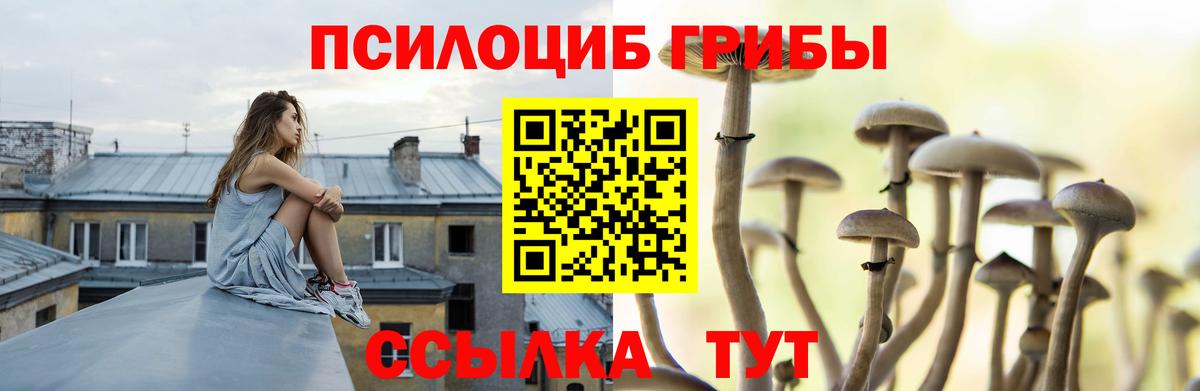 Кунгур  Псилоцибиновые грибы мухоморы  Галлюциногенные грибы ЛСД  Вход с VPN 